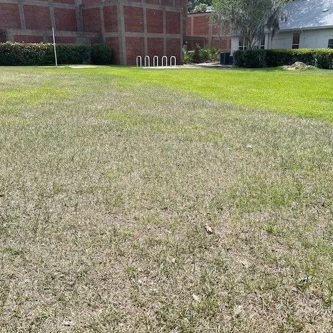 thumbnail for publication: Fertilization and Irrigation Needs for Florida Lawns and Landscapes